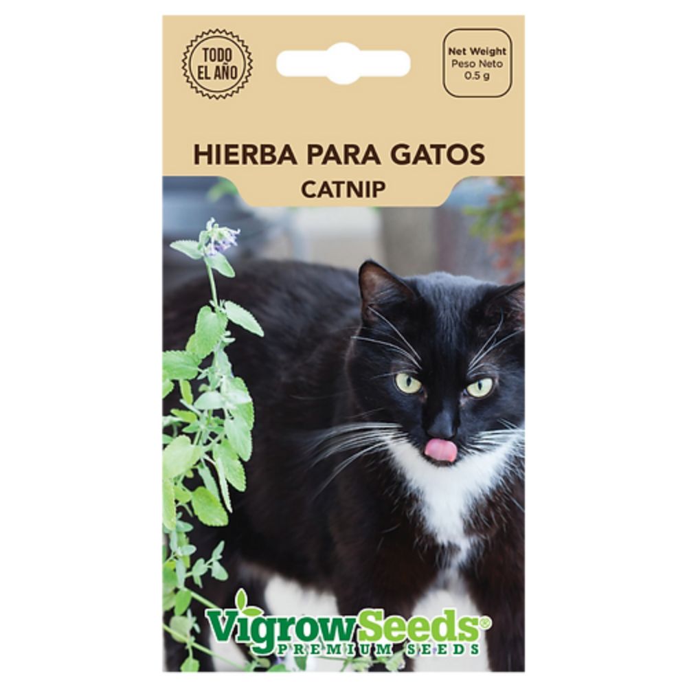 Semilla De Hierba para gatos Suplijardines 19202019