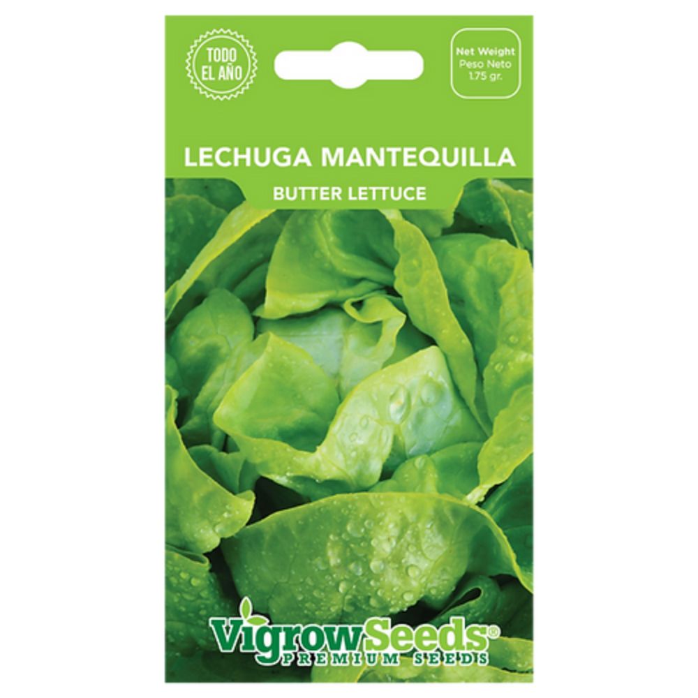 Semilla De Lechuga mantequilla Suplijardines 19201016